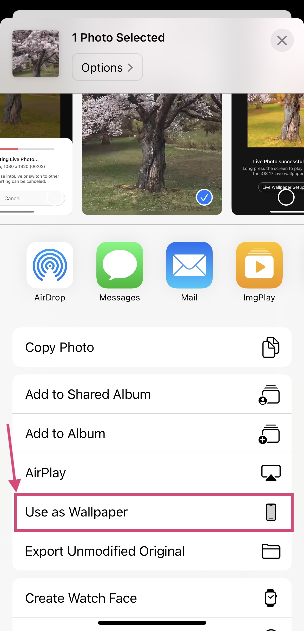 How to Make Live Photos for iOS 17 Live Wallpaper intoLive
